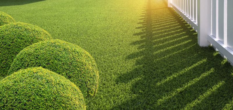 Synthetic Grass
