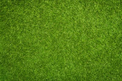Synthetic Grass
