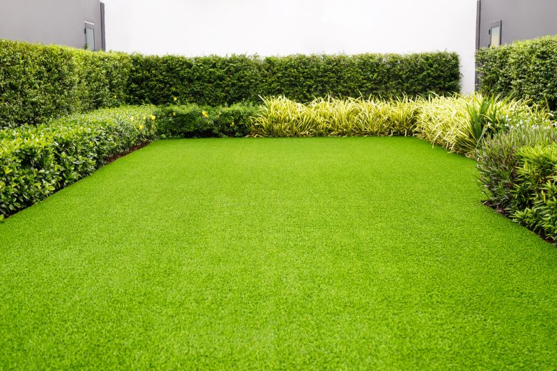 Finished Residential Lawn